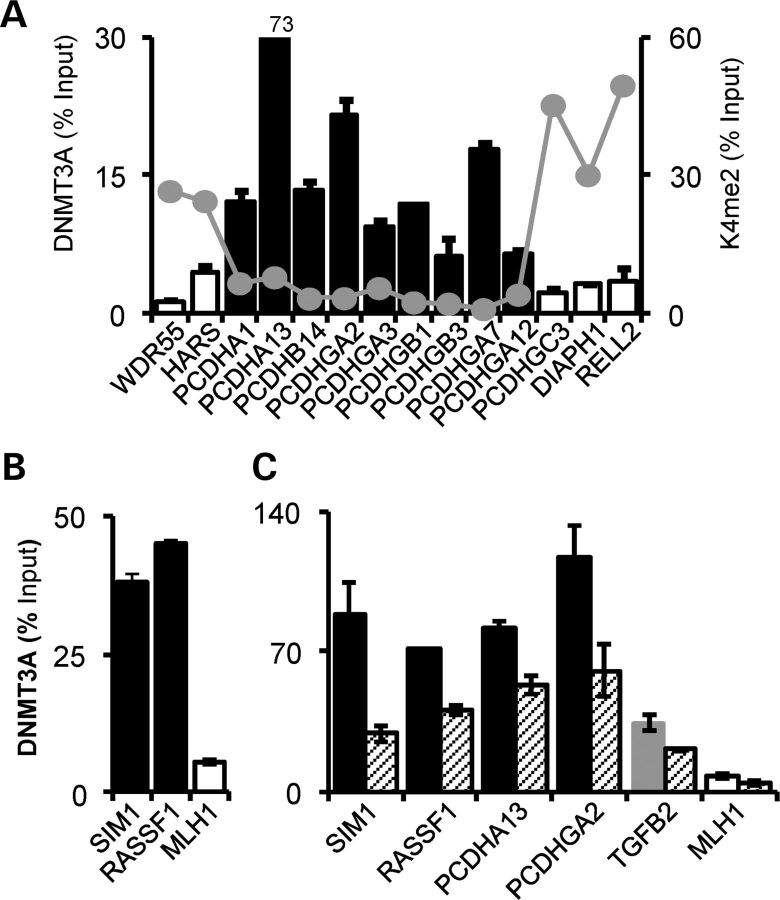 Figure 6.