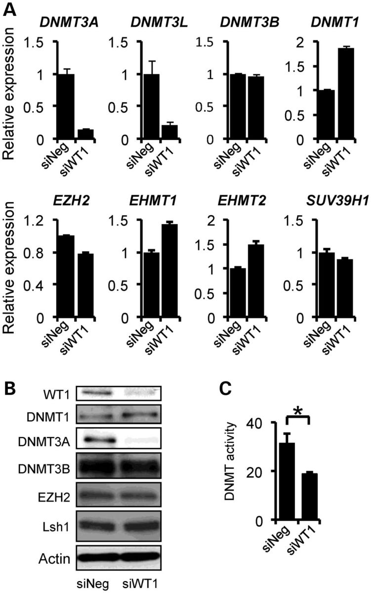 Figure 1.