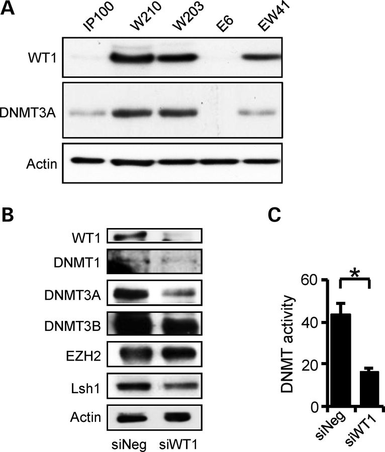 Figure 2.