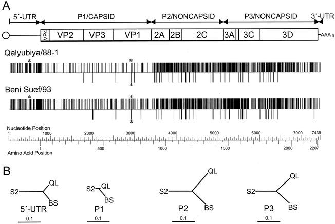 FIG. 5.