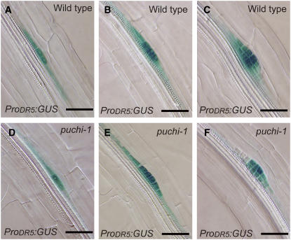 Figure 6.