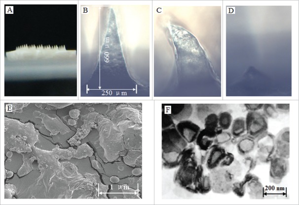 Figure 6.