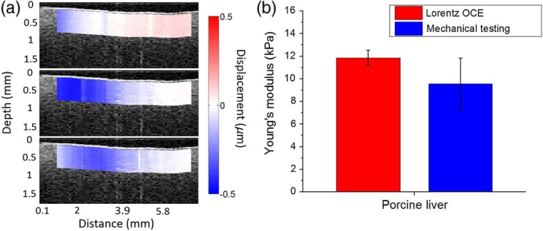 Fig. 4