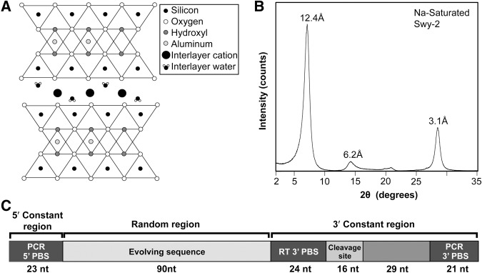 FIGURE 1.