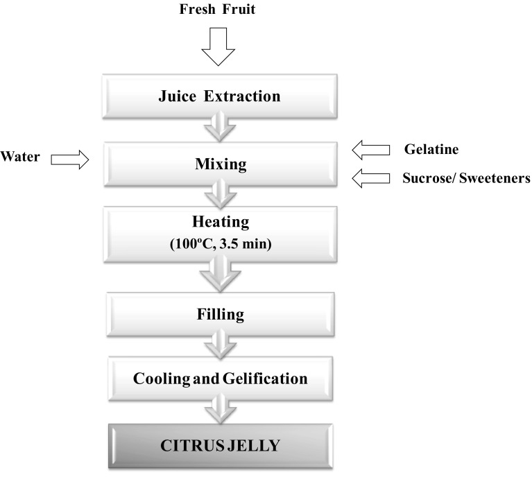 Fig. 1