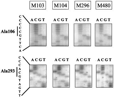 FIG. 4