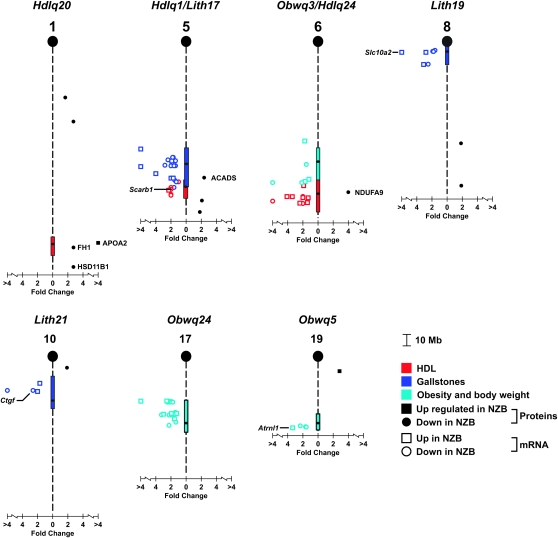 Figure 2.—