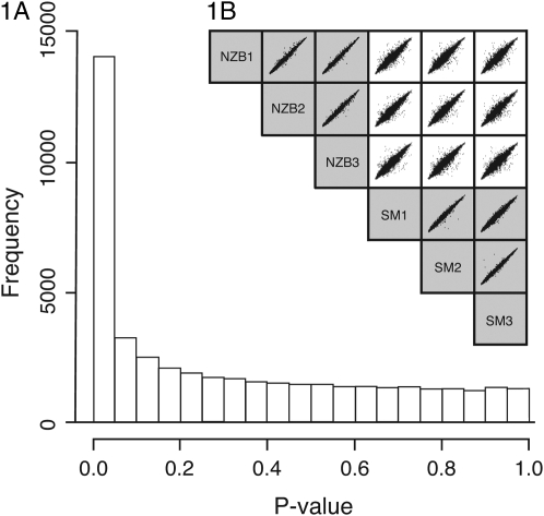 Figure 1.—