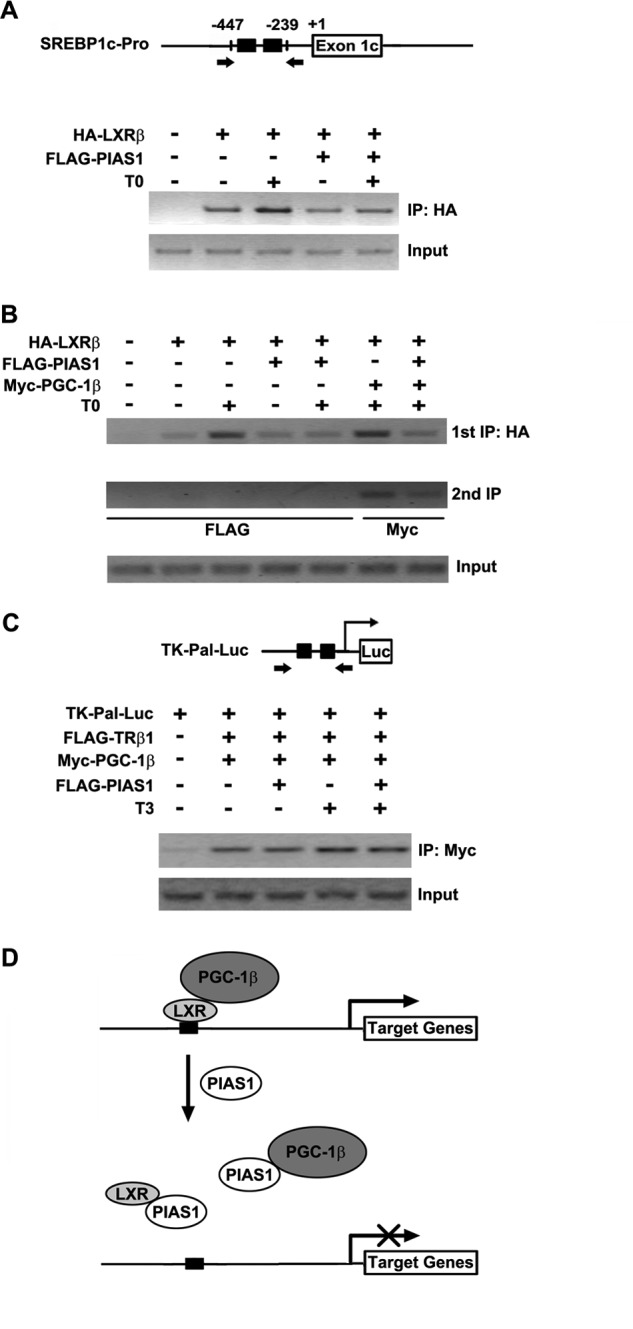 FIGURE 9.