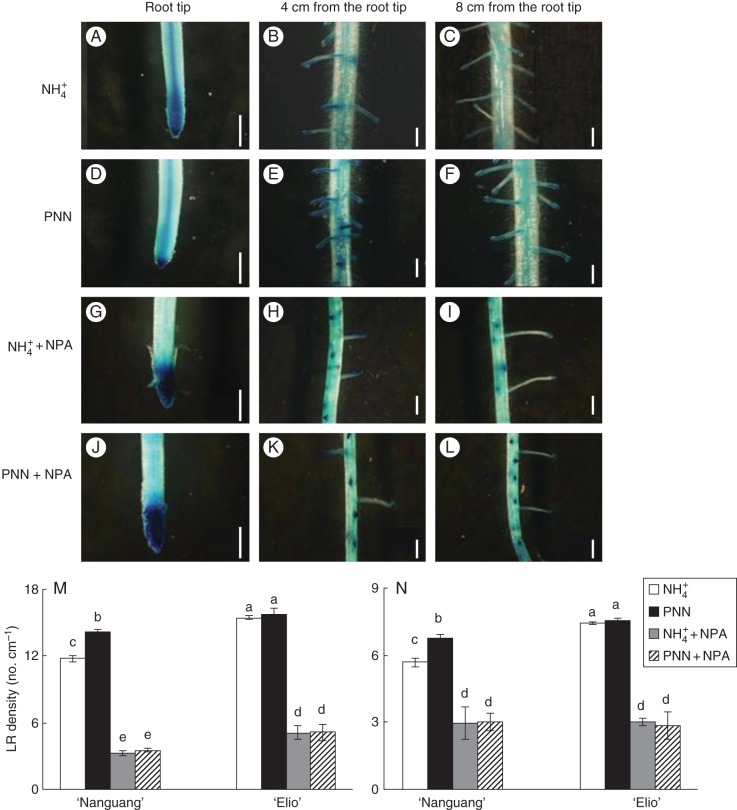 Fig. 4.