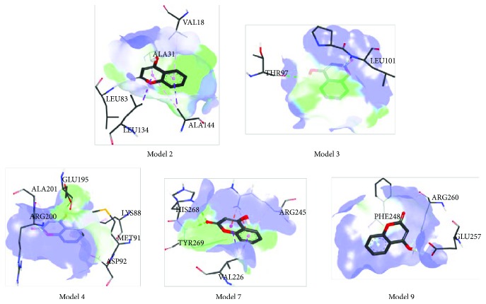 Figure 4