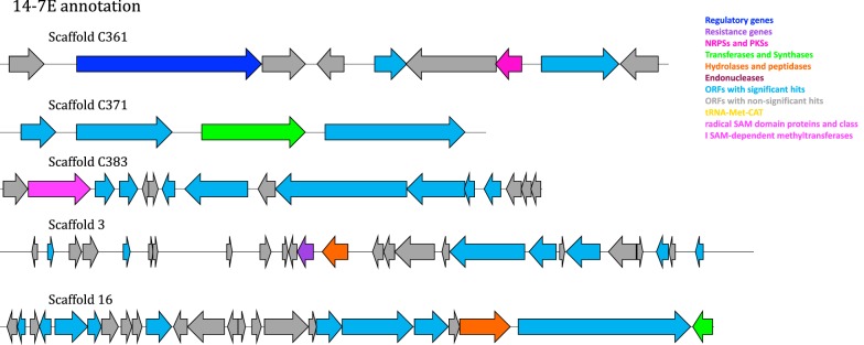 Fig. 4