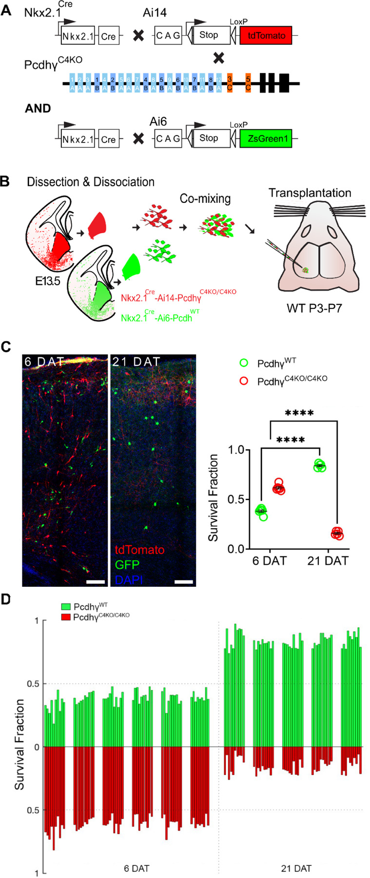 Figure 2 -