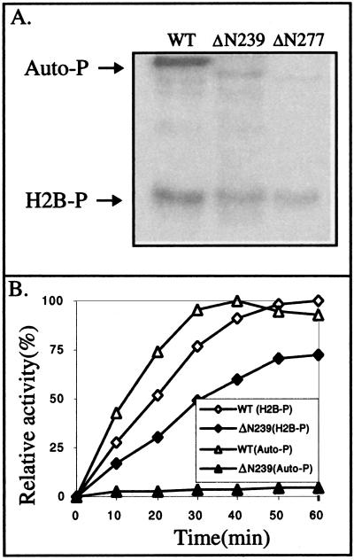 FIG. 8.