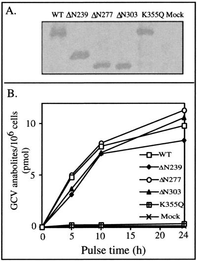 FIG. 9.