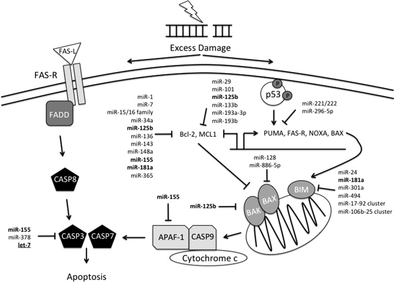 FIG. 7.