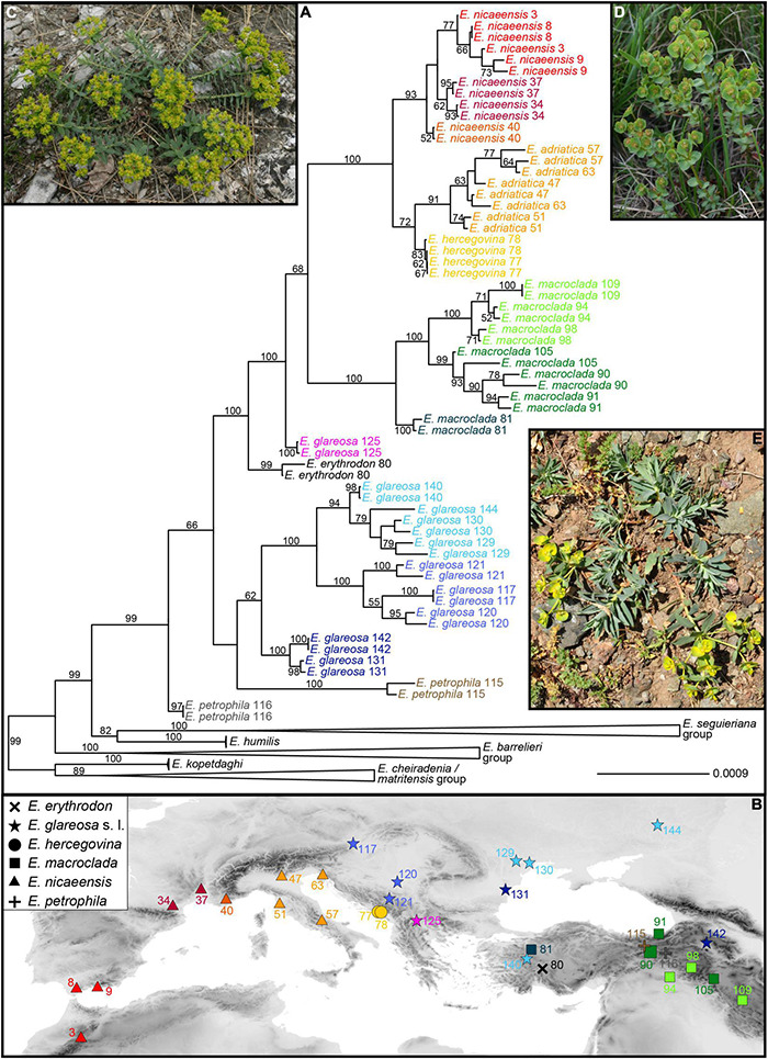 FIGURE 3