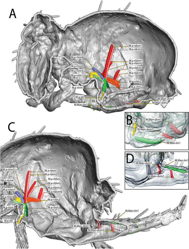 Fig. 8