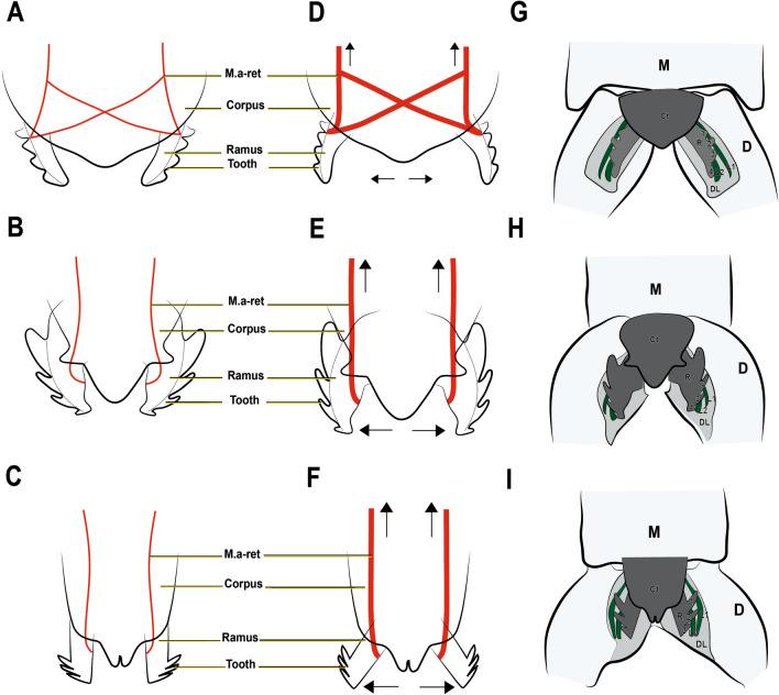 Fig. 11