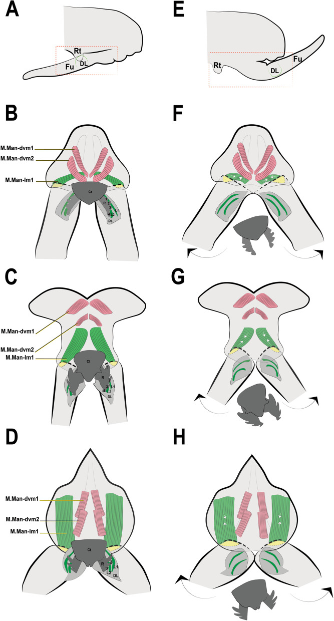 Fig. 12