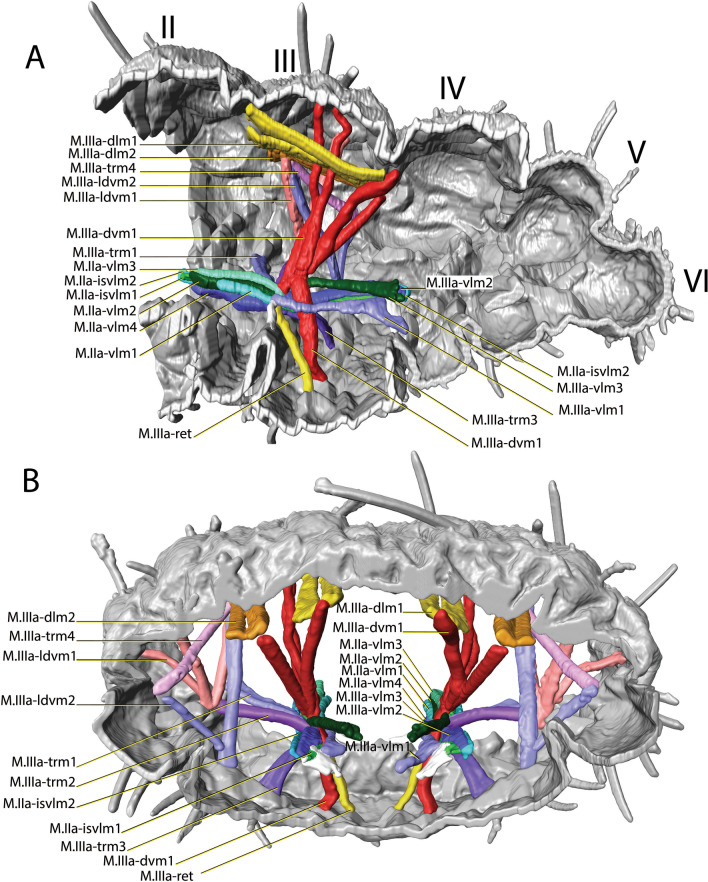 Fig. 5