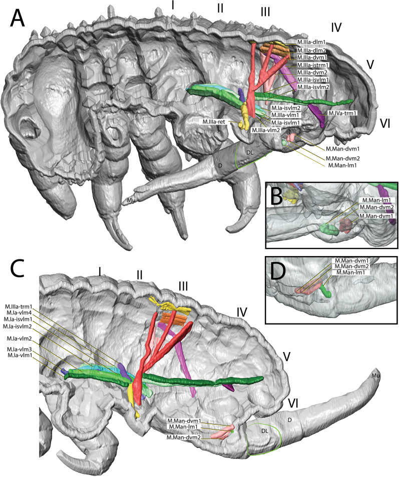 Fig. 6