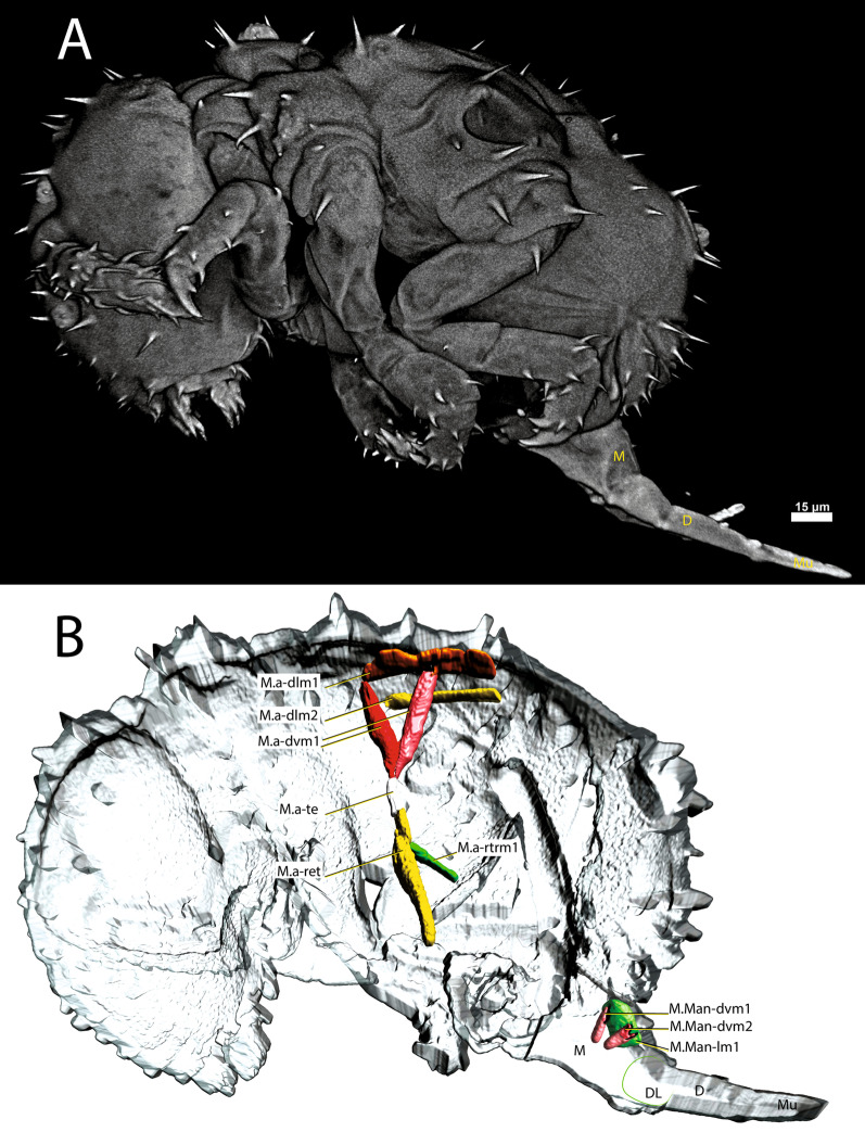 Fig. 10