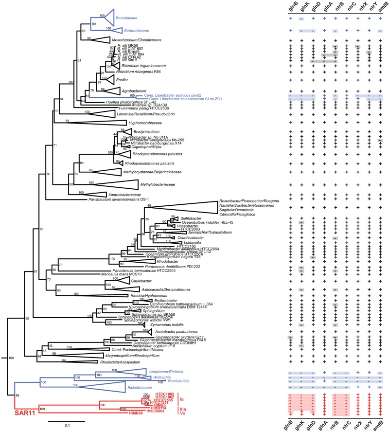 FIG 4 