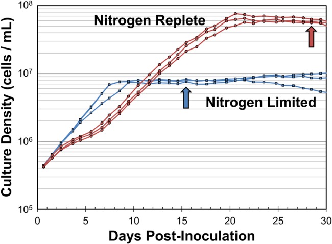 FIG 1 