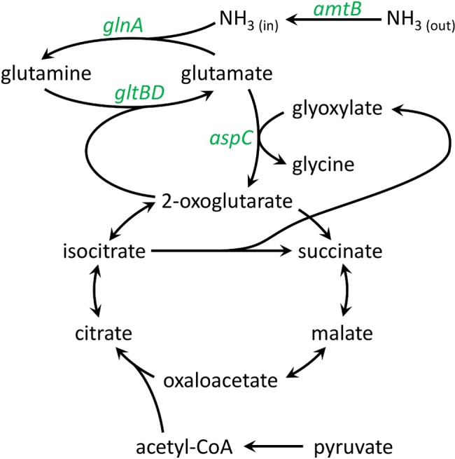 FIG 3 