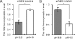 FIG 1