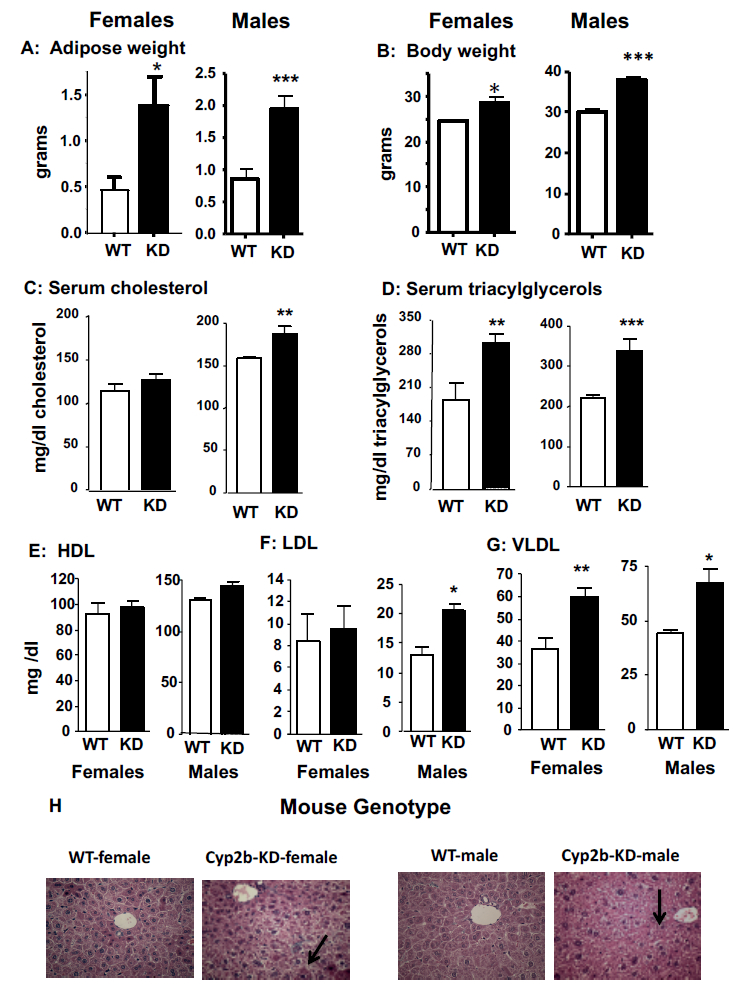 Fig. 4: