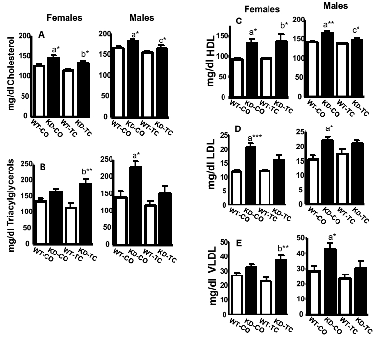 Fig. 2: