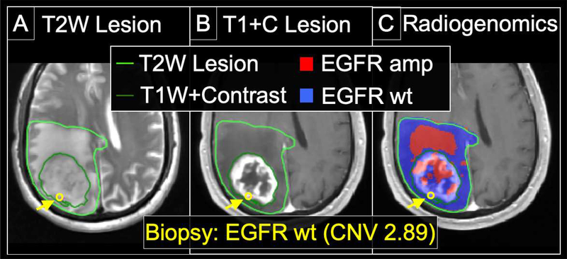 Figure 5: