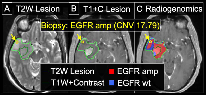 Figure 4: