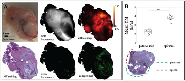 Fig. 3.