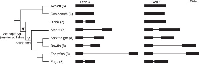 Extended Data Fig. 6