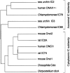 Figure  2