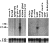 Figure  3