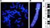 Figure  4