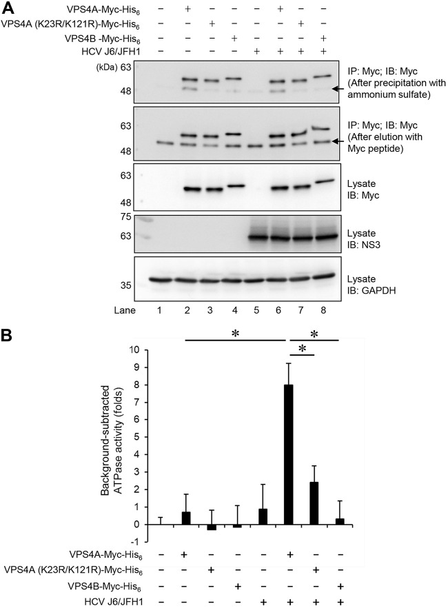 FIG 10