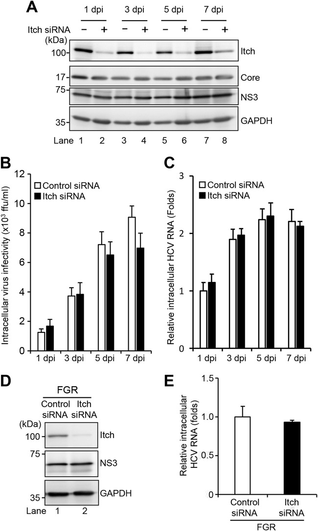 FIG 2