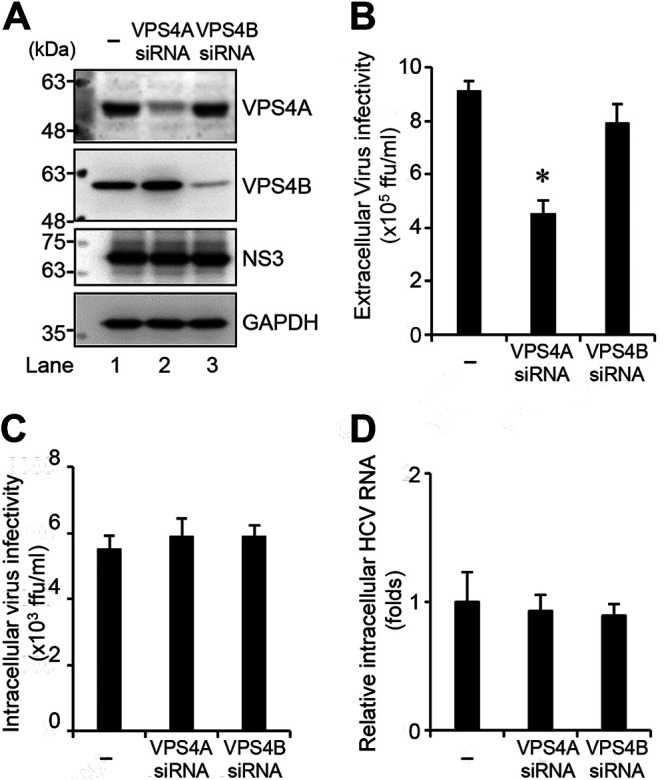 FIG 6