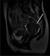 Fig. 9