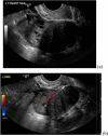 Fig. 8