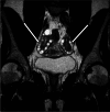 Fig. 6