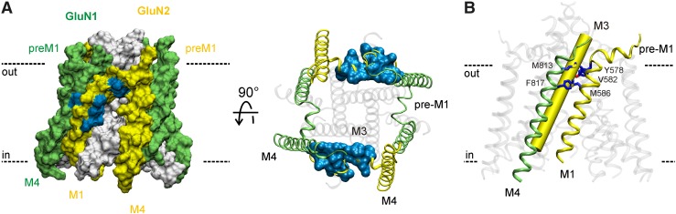 Fig. 10.