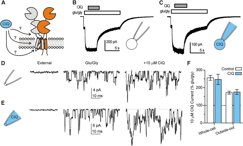 Fig. 9.