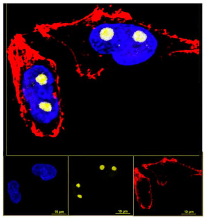 Figure 5