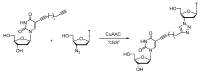 Scheme 6